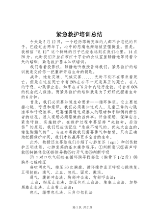 2024年紧急救护培训总结