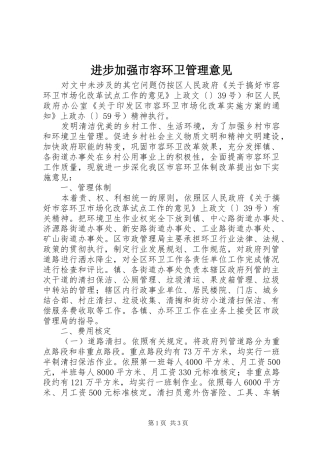 2024年进步加强市容环卫管理意见
