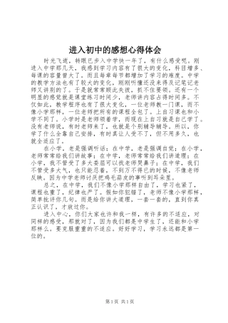 2024年进入初中的感想心得体会