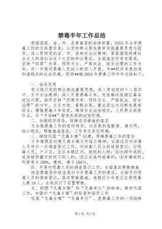 2024年禁毒半年工作总结