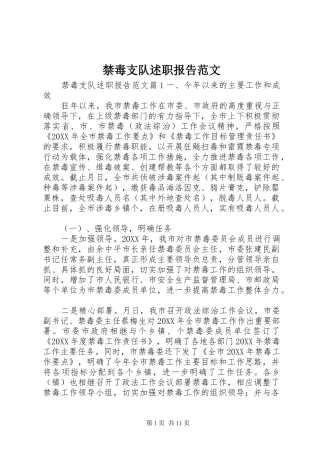 2024年禁毒支队述职报告范文