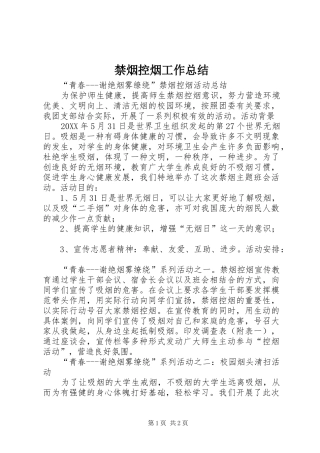 2024年禁烟控烟工作总结