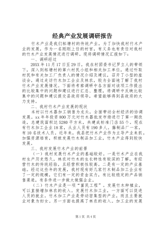 2024年经典产业发展调研报告