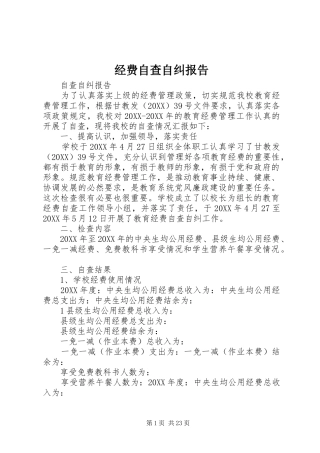 2024年经费自查自纠报告