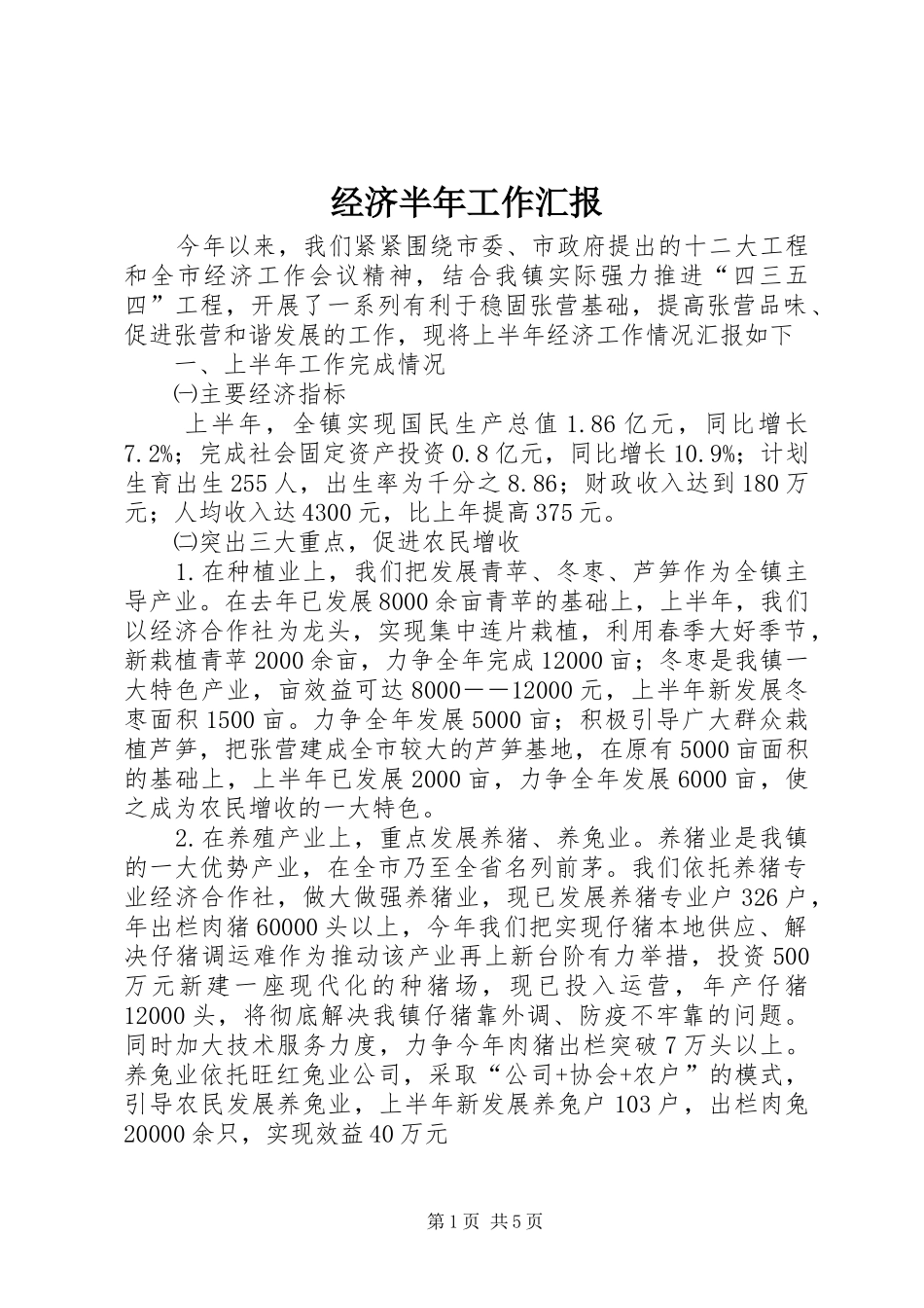 2024年经济半年工作汇报_第1页