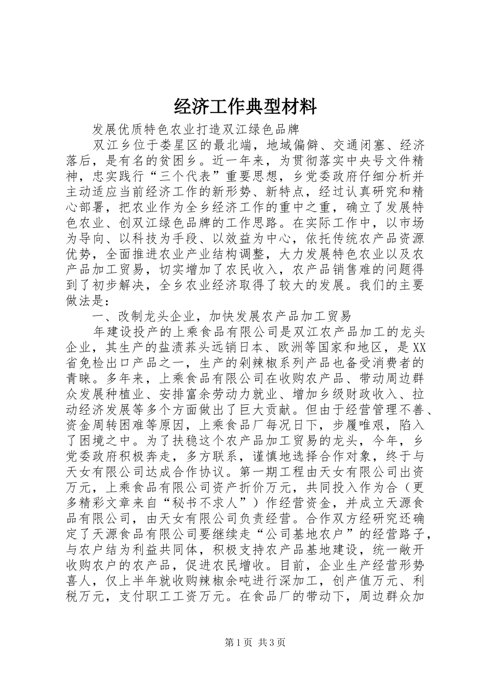 2024年经济工作典型材料_第1页