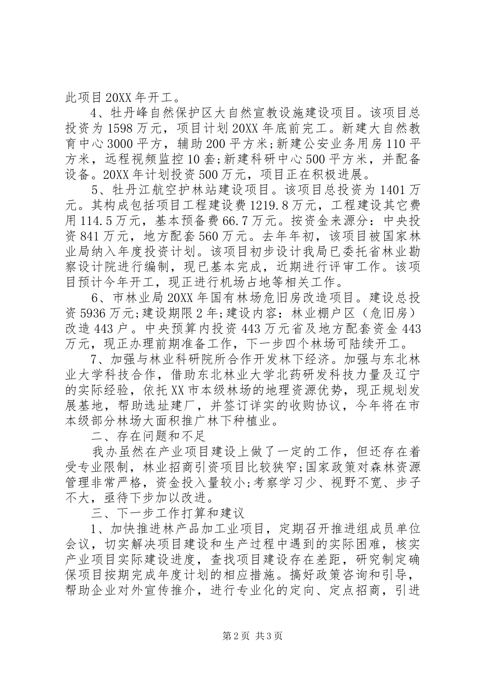 2024年经济合作办公室工作汇报_第2页