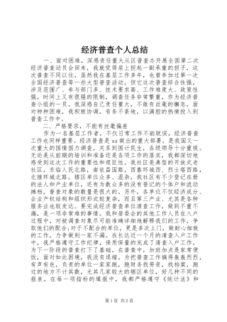 2024年经济普查个人总结