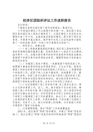 2024年经济区团组织评议工作述职报告