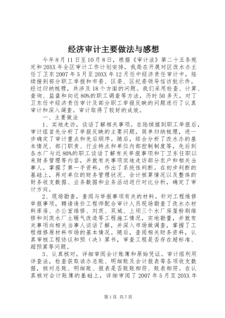 2024年经济审计主要做法与感想