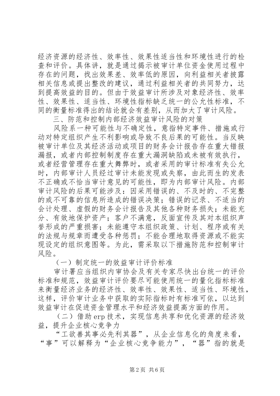 2024年经济效益审计思考_第2页