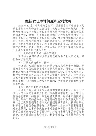2024年经济责任审计问题和应对策略