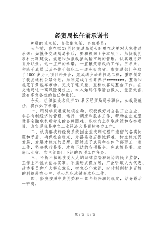 2024年经贸局长任前承诺书