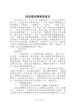 2024年经信委品牌建设意见