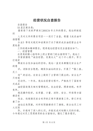 2024年经营状况自查报告