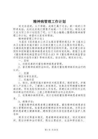 2024年精神病管理工作计划