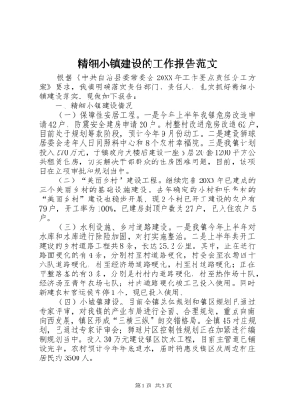 2024年精细小镇建设的工作报告范文