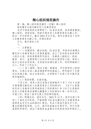 2024年精心组织规范操作