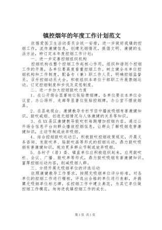 2024年镇控烟年的年度工作计划范文