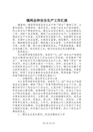 2024年镇两会和安全生产工作汇报