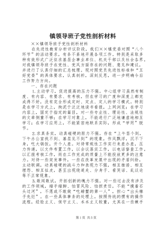 2024年镇领导班子党性剖析材料