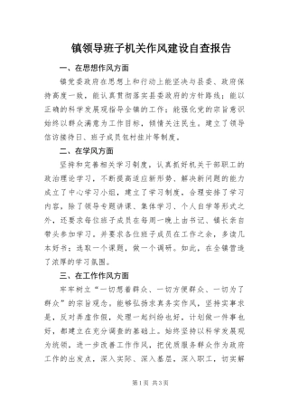 2024年镇领导班子机关作风建设自查报告