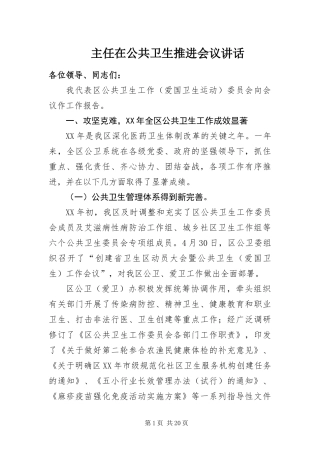 2024年主任在公共卫生推进会议致辞