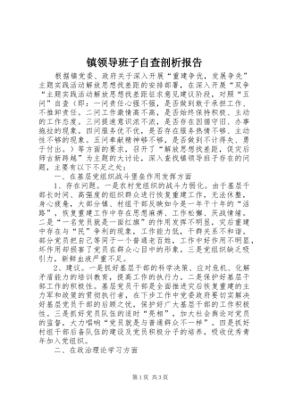 2024年镇领导班子自查剖析报告