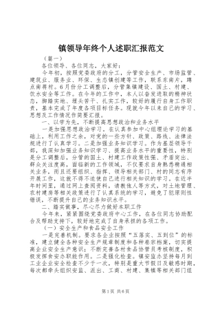 2024年镇领导年终个人述职汇报范文