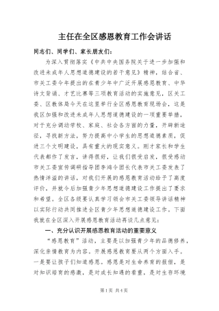 2024年主任在全区感恩教育工作会致辞