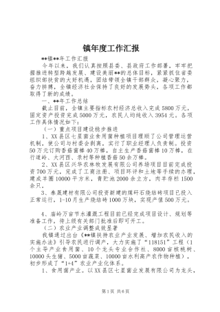 2024年镇年度工作汇报