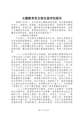 2024年主题教育党支部自查评估报告