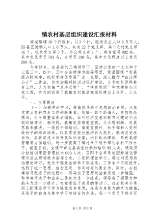 2024年镇农村基层组织建设汇报材料