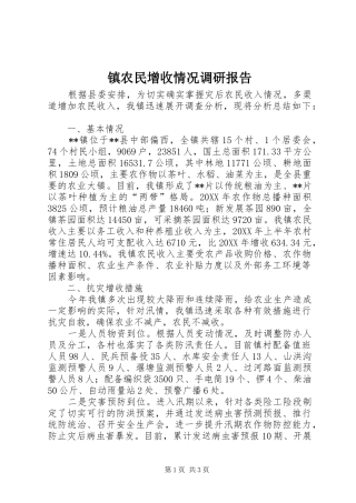 2024年镇农民增收情况调研报告