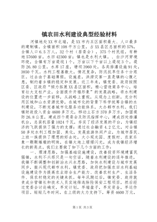 2024年镇农田水利建设典型经验材料
