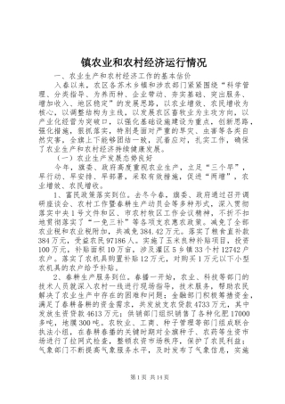 2024年镇农业和农村经济运行情况