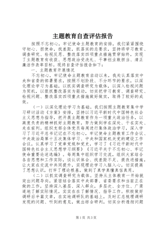 2024年主题教育自查评估报告