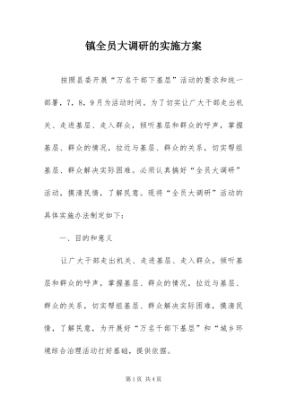 2024年镇全员大调研的实施方案