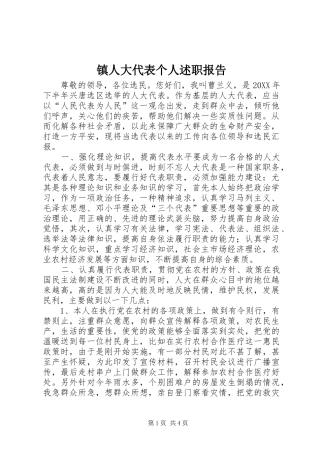 2024年镇人大代表个人述职报告