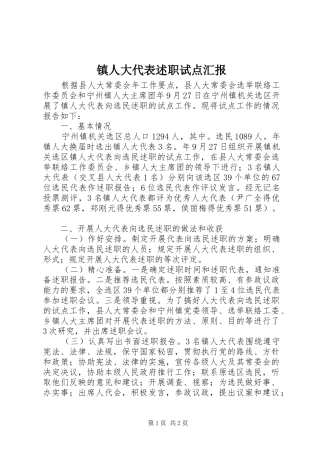 2024年镇人大代表述职试点汇报