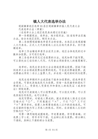 2024年镇人大代表选举办法