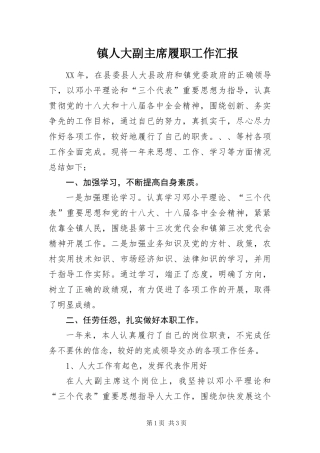2024年镇人大副主席履职工作汇报