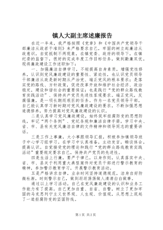 2024年镇人大副主席述廉报告