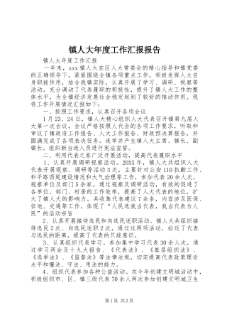 2024年镇人大年度工作汇报报告