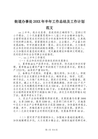 2024年街道办事处半年工作总结及工作计划范文