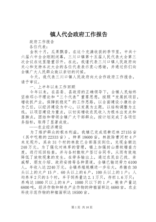 2024年镇人代会政府工作报告