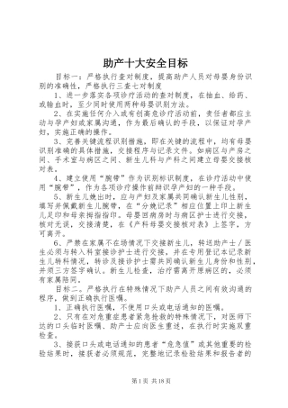 2024年助产十大安全目标