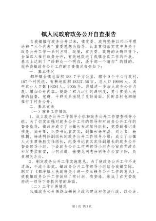 2024年镇人民政府政务公开自查报告