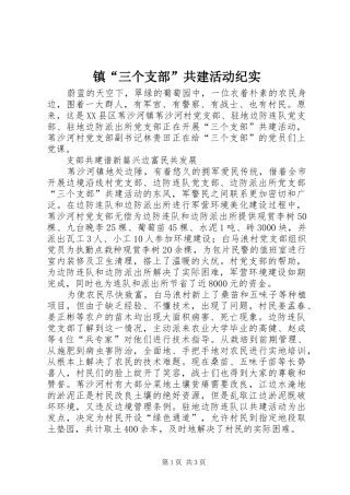 2024年镇三个支部共建活动纪实