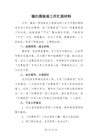 2024年镇扫黑除恶工作汇报材料